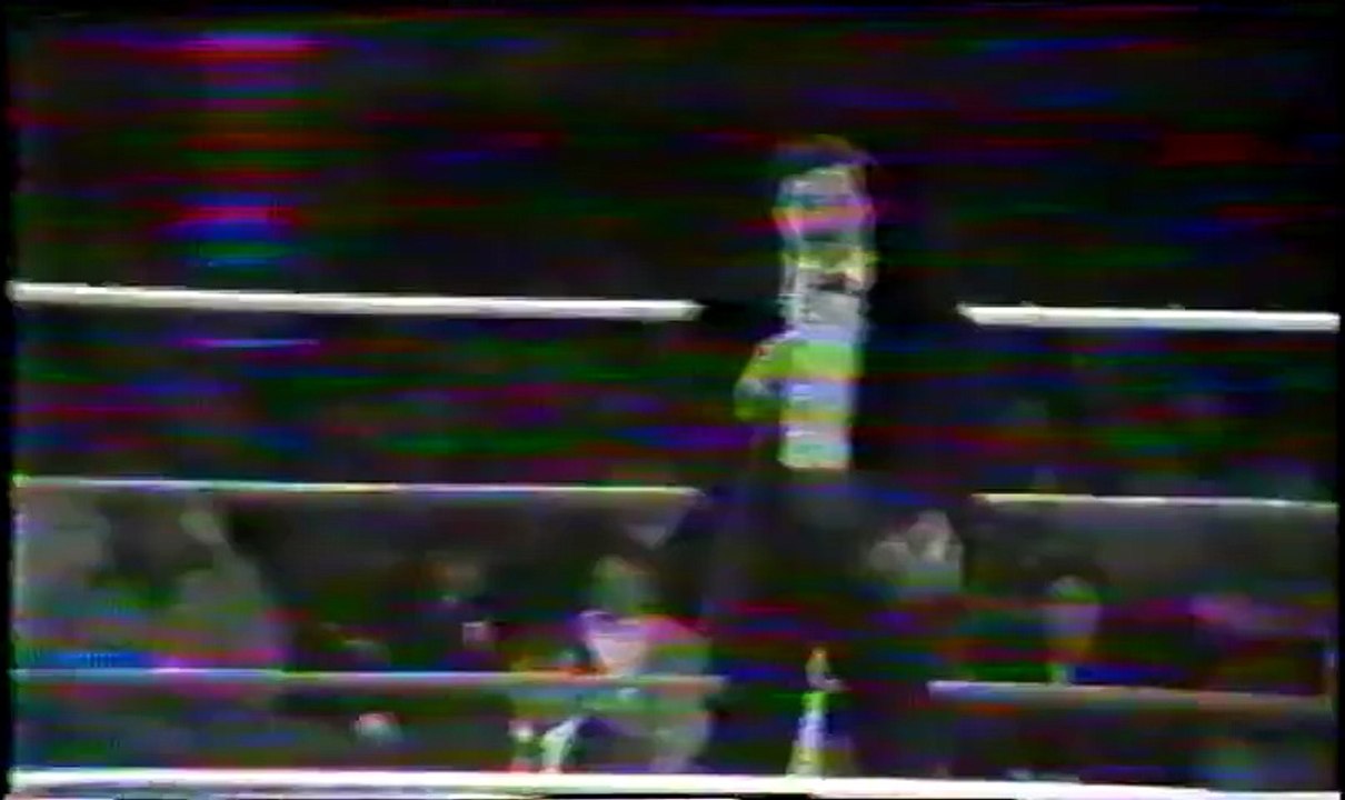 Curt Hennig vs Rick Steiner