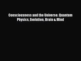 [PDF Download] Consciousness and the Universe: Quantum Physics Evolution Brain & Mind [Read]