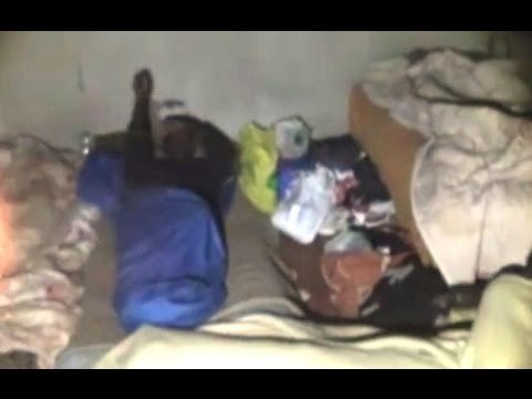 Gioia Tauro (RC) - Blitz contro il caporalato: due denunce (08.01.16)