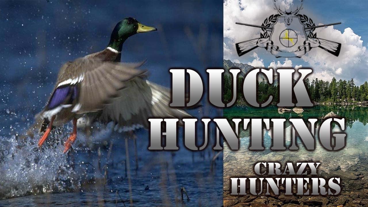 Duck Hunting # 005- Ördek Avı - [►]