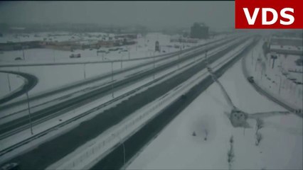 Glorious images of snowy owl in flight captured - by a traffic camera