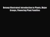 [PDF Download] Botany Illustrated: Introduction to Plants Major Groups Flowering Plant Families