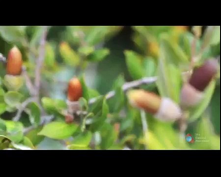 Chitral National Park - Pakistan is One Of Beautiful Country