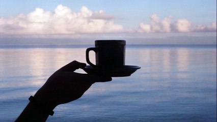 Coffee is Very Healthy - Without the Sugar