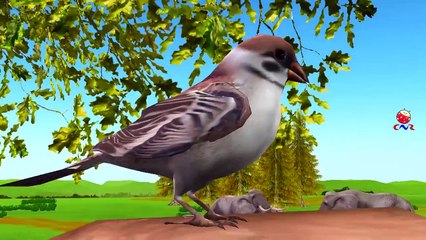 Sparrow Irritating Baby Elephant Funny Video For Children | Elephant Vs Lion 3D Cartoon Vi