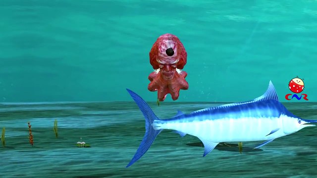 Sea Animal Like Whales Dolphins Octopus And Sharks Singing Finger Family Nursery Rhymes Fo