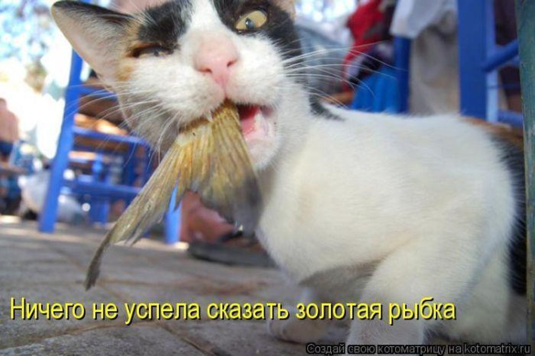 ЛУЧШИЕ ПРИКОЛЫ 131
