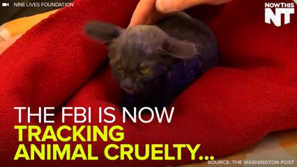 FBI Now Tracks Animal Abuse As A Class A Felony