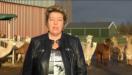Het Weer: Harma bie de boer [8-1-2016] - RTV Noord