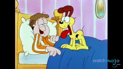 Cats Vs Dogs: Which Makes a Better Pet?