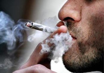 La réponse des trafiquants marocains au documentaire “Aux royaumes du shit” de CANAL+