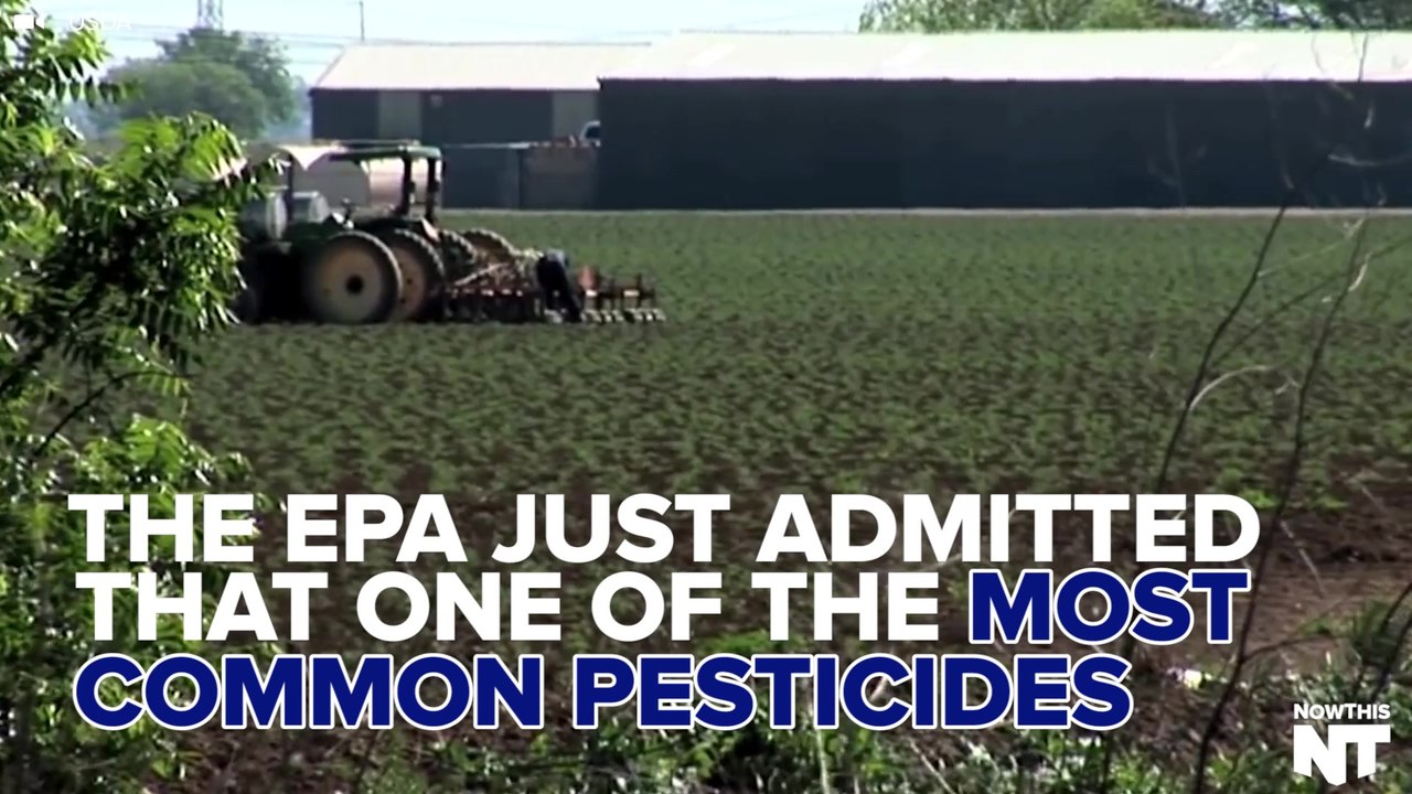EPA Admits Common Pesticide Kills Bees