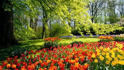 tanti auguri da tutti noi per il tuo compleanno...ciao