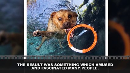 The Most Extraordinary Photos Ever Taken