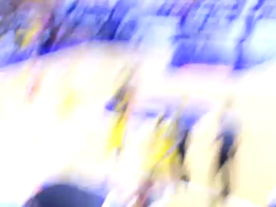 Fin