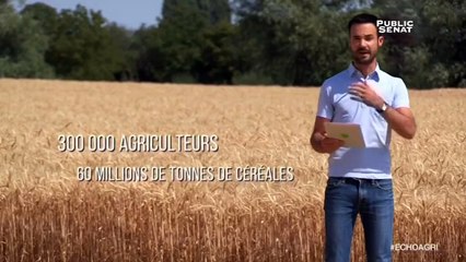 L'écho de l'agriculture : La collecte