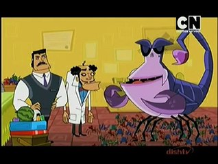 Roll No.21 Chipku Sandwiched