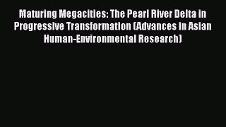 PDF Download Maturing Megacities: The Pearl River Delta in Progressive Transformation (Advances