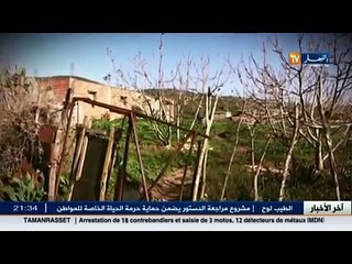 جزائريون - عائلات جزائرية تصارع من أجل البقاء في 2016