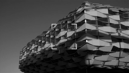 Skateboarding through the Lion’s lens Julien Dellion