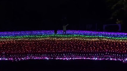 NMB48 古賀成美 ゆーり氏とイルミネーションを観てきました 20151225