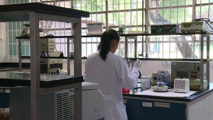Senegaleses ajudam a combater microcefalia no Brasil