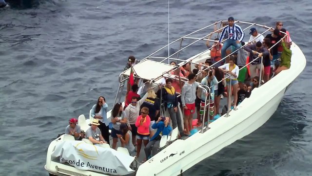 Diving from a Rocky Cliff in Portugal Red Bull Cliff Diving 2015