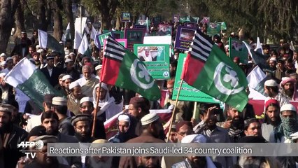 Reactions to Pakistan's role in Saudi-led military coalition