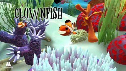 Fishes, learning animals. Alex educational cartoons