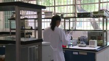 Virus Zika: l’institut Pasteur de Dakar aide le Brésil