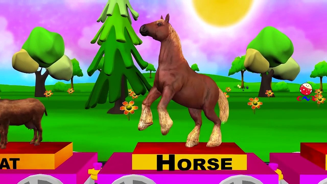 Learn Animals For Children And Kids | Learning About Zoo Animals For Toddlers And Kinderga