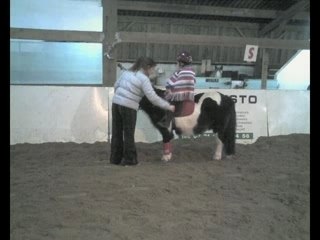 Il était une fois dans le nord