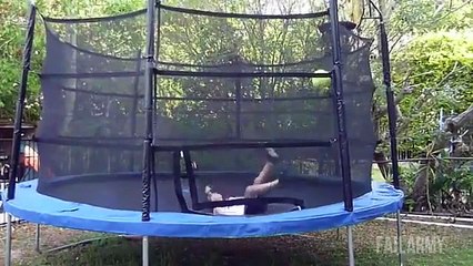 laughed fool who plays basketball