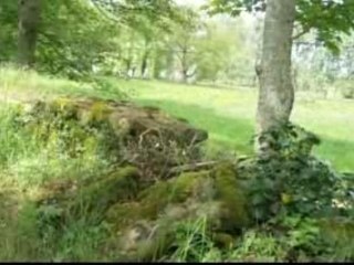 ALLOUE - SUR LE CHEMIN DE "LA VERGNE" ET LE CHATEAU DE "L'AG