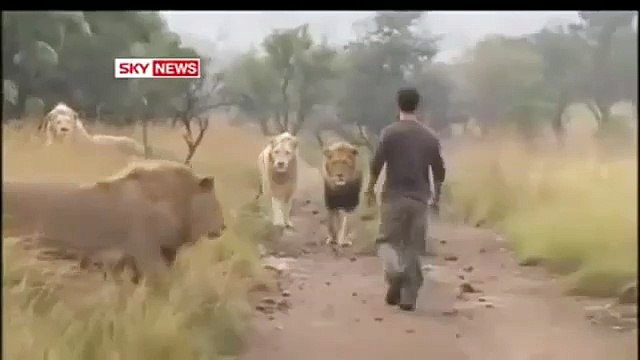 Andai Aku Punya Peliharaan Kek Gini | Satu Aja