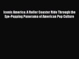 Iconic America: A Roller Coaster Ride Through the Eye-Popping Panorama of American Pop Culture