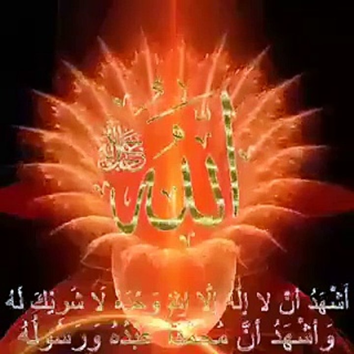 beautiful video ever