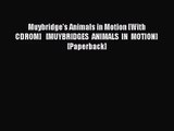PDF Download Muybridge's Animals in Motion [With CDROM]   [MUYBRIDGES ANIMALS IN MOTION] [Paperback]