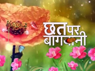 छत पर बागवानी | Chhat Par Bagwani  (02-01-2016)