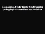 Iconic America: A Roller Coaster Ride Through the Eye-Popping Panorama of American Pop Culture