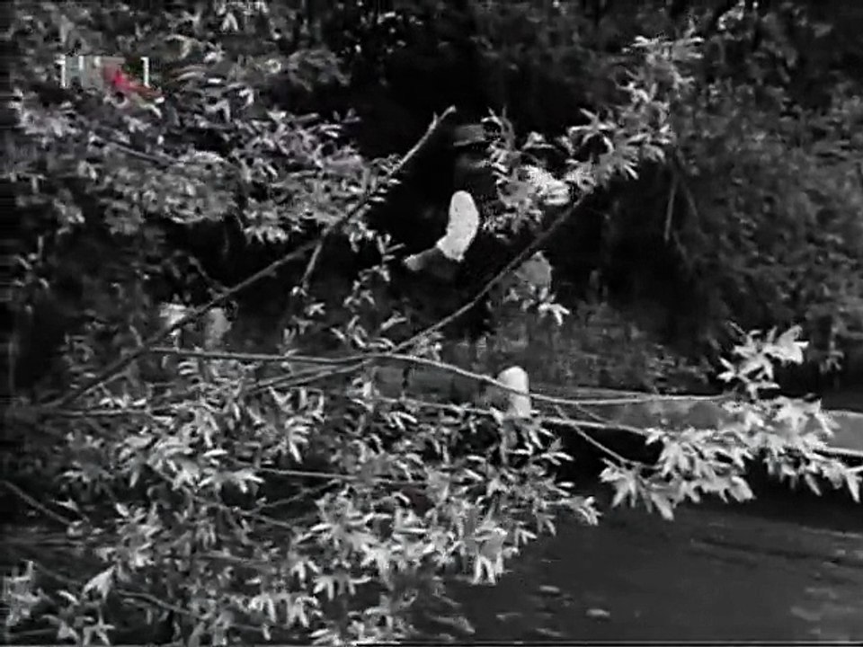 Mejasi  4   /  1970 Domaci serija