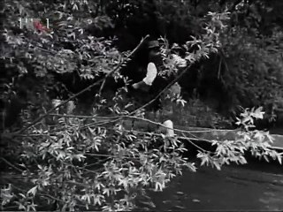 Mejasi  4   /  1970 Domaci serija