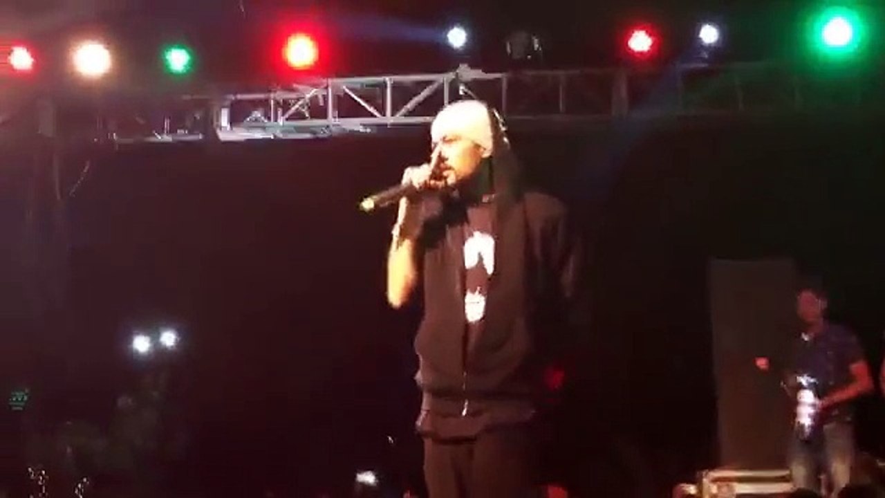 Bohemia Talking about Yo Yo Honey Singh , Badshah  and Raftaar HD NEW 2016