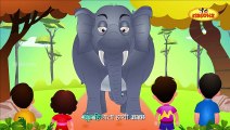 Haathi Aaya - Hindi Animated/Cartoon Nursery Rhymes For Kids