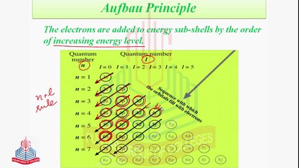 Electronic Distribution , Aufbau Principle ,Pauli's Exclusion Principle & Hund's Rule