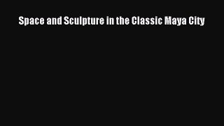 PDF Download Space and Sculpture in the Classic Maya City Read Online