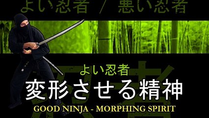 Good Ninja / Bad Ninja: Morphing Spirit (Sex)