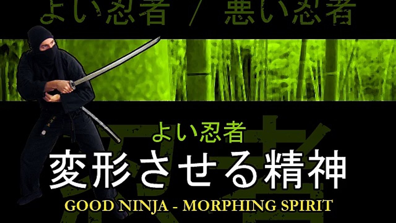 Good Ninja / Bad Ninja: Morphing Spirit (Sex)