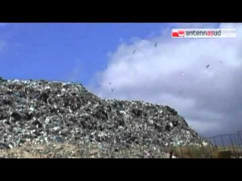 Tg Antenna Sud - Riapre la discarica di Andria