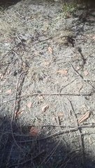 VID_20150916_101235